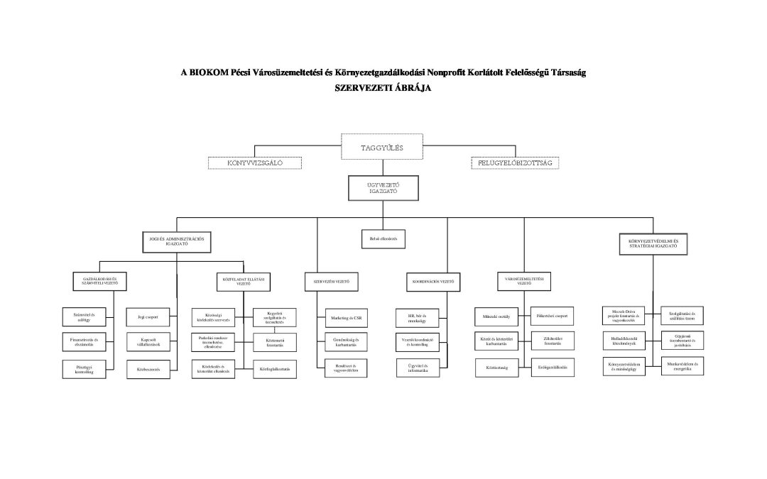 szervezetifelépítés_BIOKOM_20170915