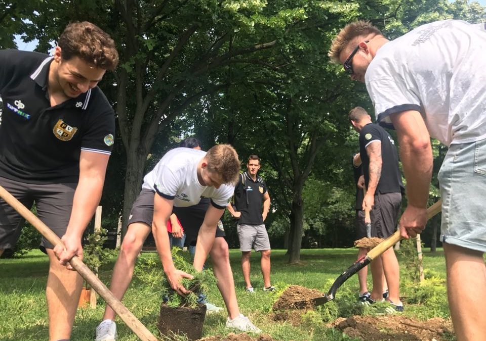 Férfiak egy csoportja fákat ültet egy parkban.