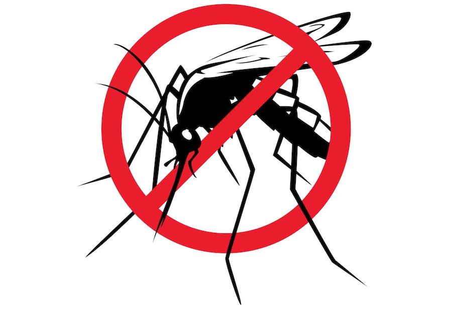 Megelőzéssel védekezhetünk a szúnyogok ellen