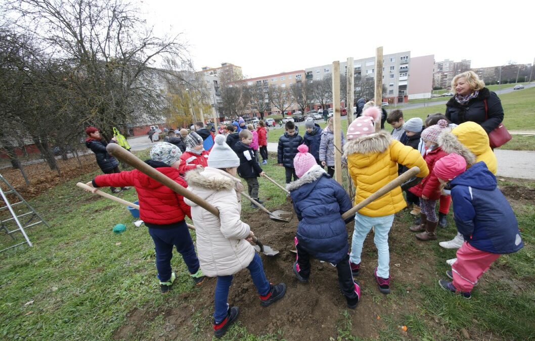 Közösségi faültetésekkel válik Pécs még zöldebbé