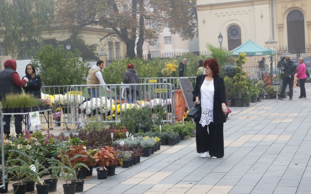 Május 5-én ismét virágvásár a Kossuth téren!