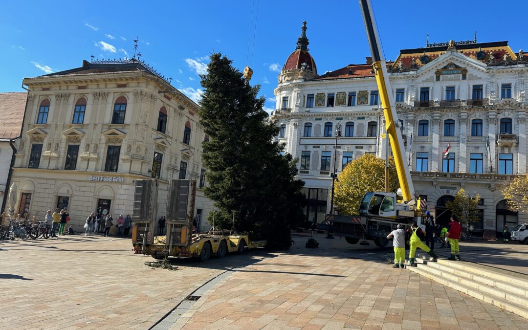 Megérkezett a Széchenyi térre a mindenki karácsonyfája
