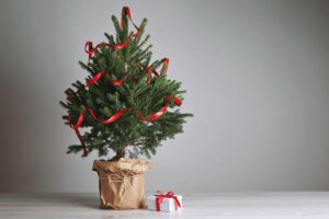Egy kis karácsonyfa egy táskában, piros szalaggal.