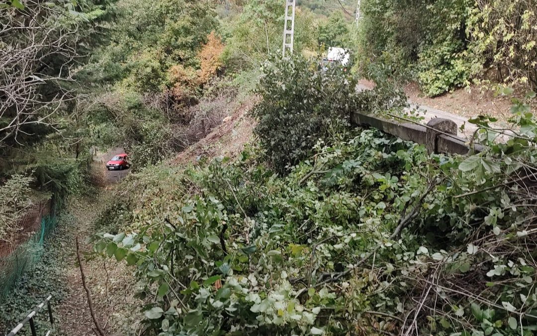 November közepéig marad az útzár a Sas dűlőben