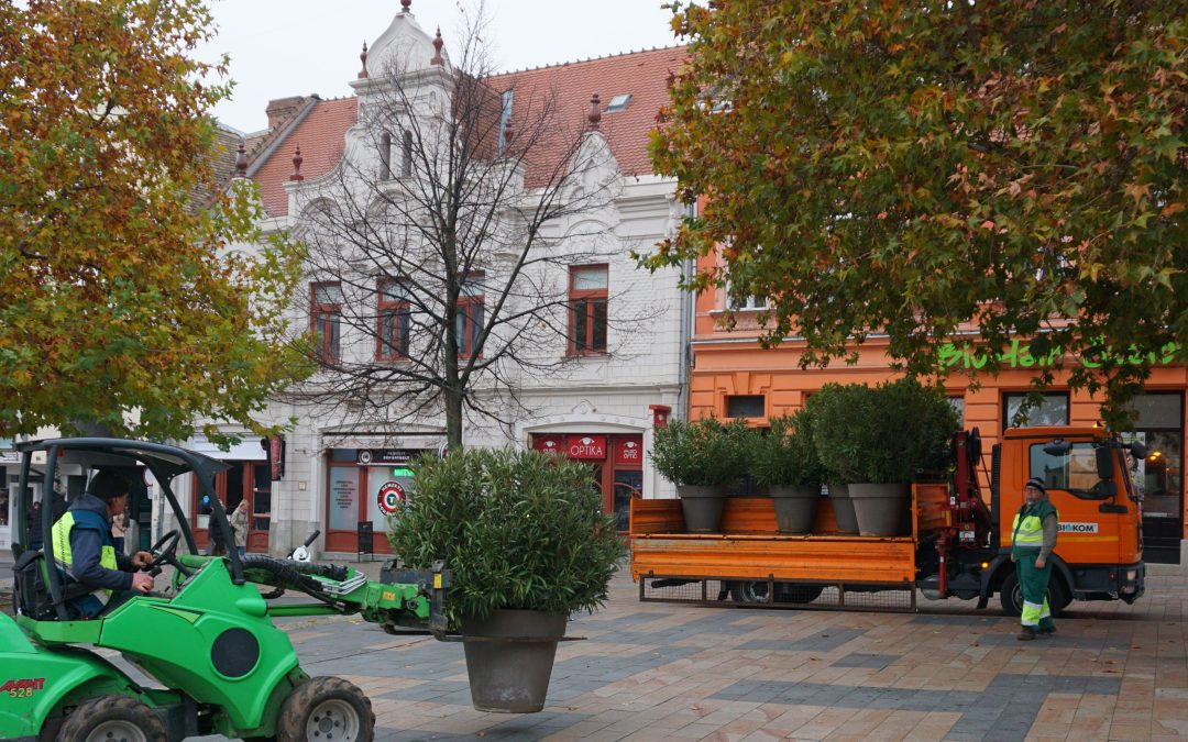 Téli helyükre szállítottuk a dézsás növényeket