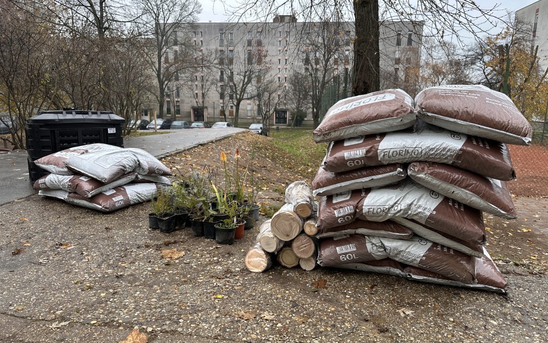 Zöld jövő az iskolákban és óvodákban