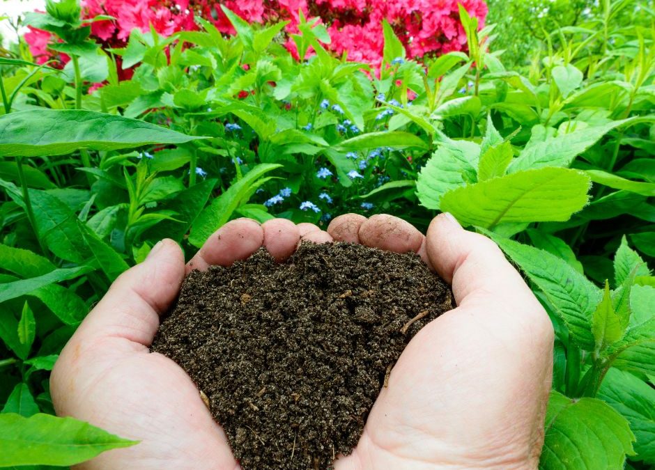 Továbbra is kapható a Pécsi Zöldkomposzt